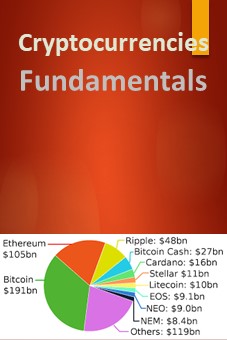 Cryptocurrencies Fundamentals