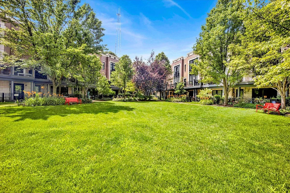 Back of the Townhouse