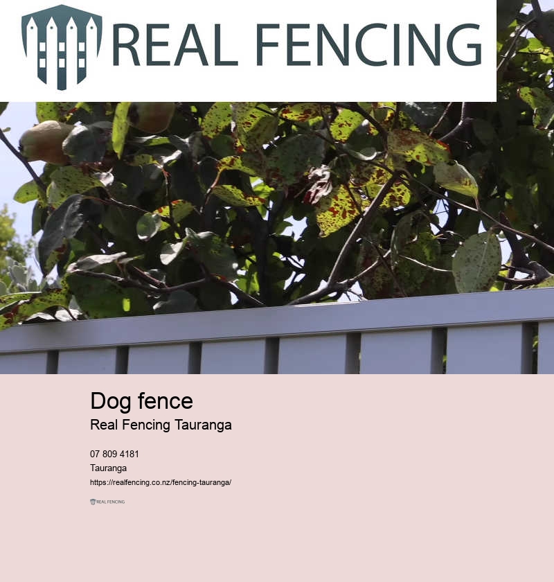 Dog fence