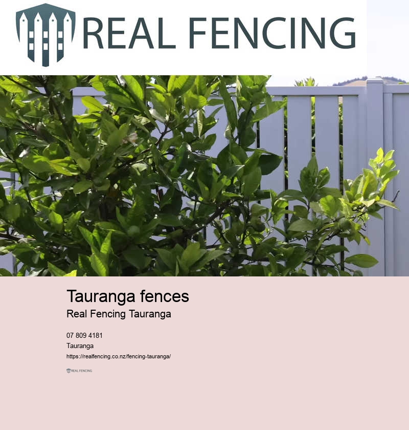 Timber and fencing near me