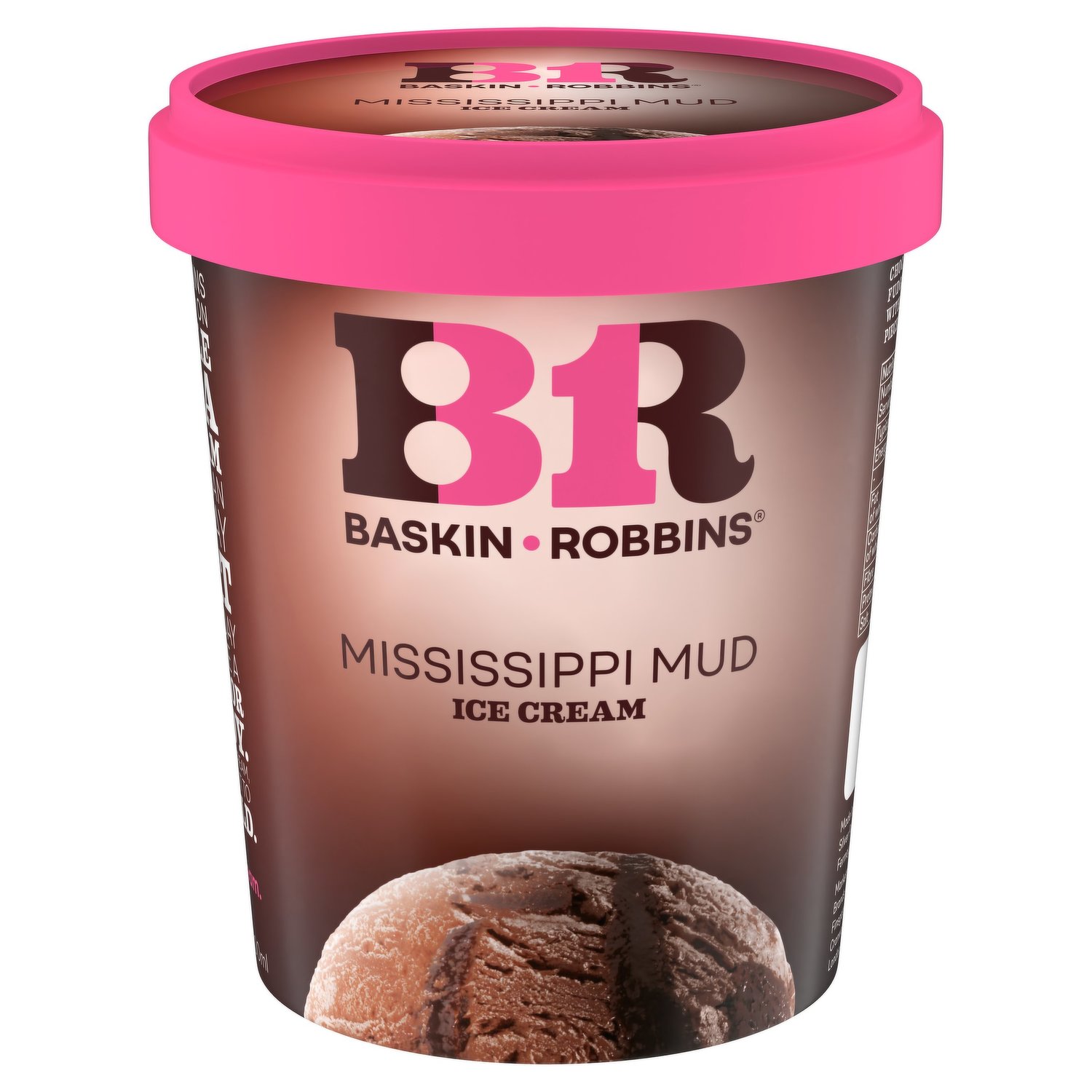 Baskin Robbins Mississippi Mud Icecream