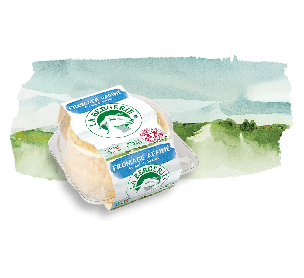 Fromage De Brebis Bio
