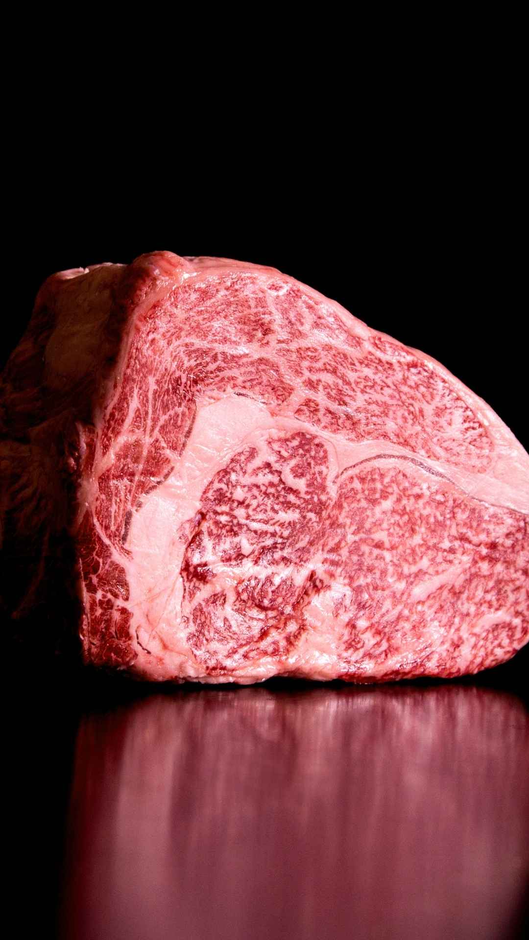 Bolognaise De Boeuf Wagyu