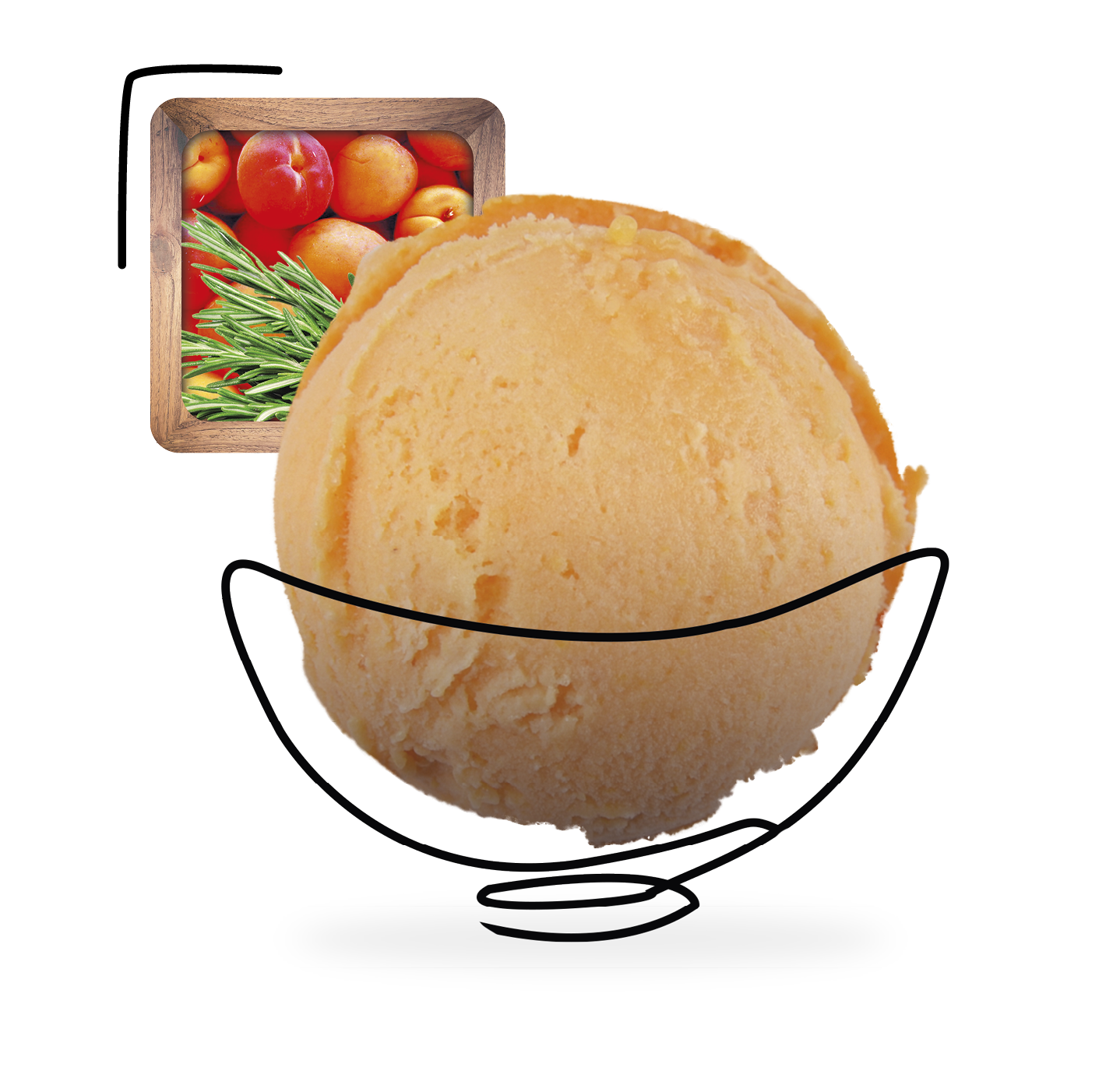 Sorbet Artisanale Abricot Romarin