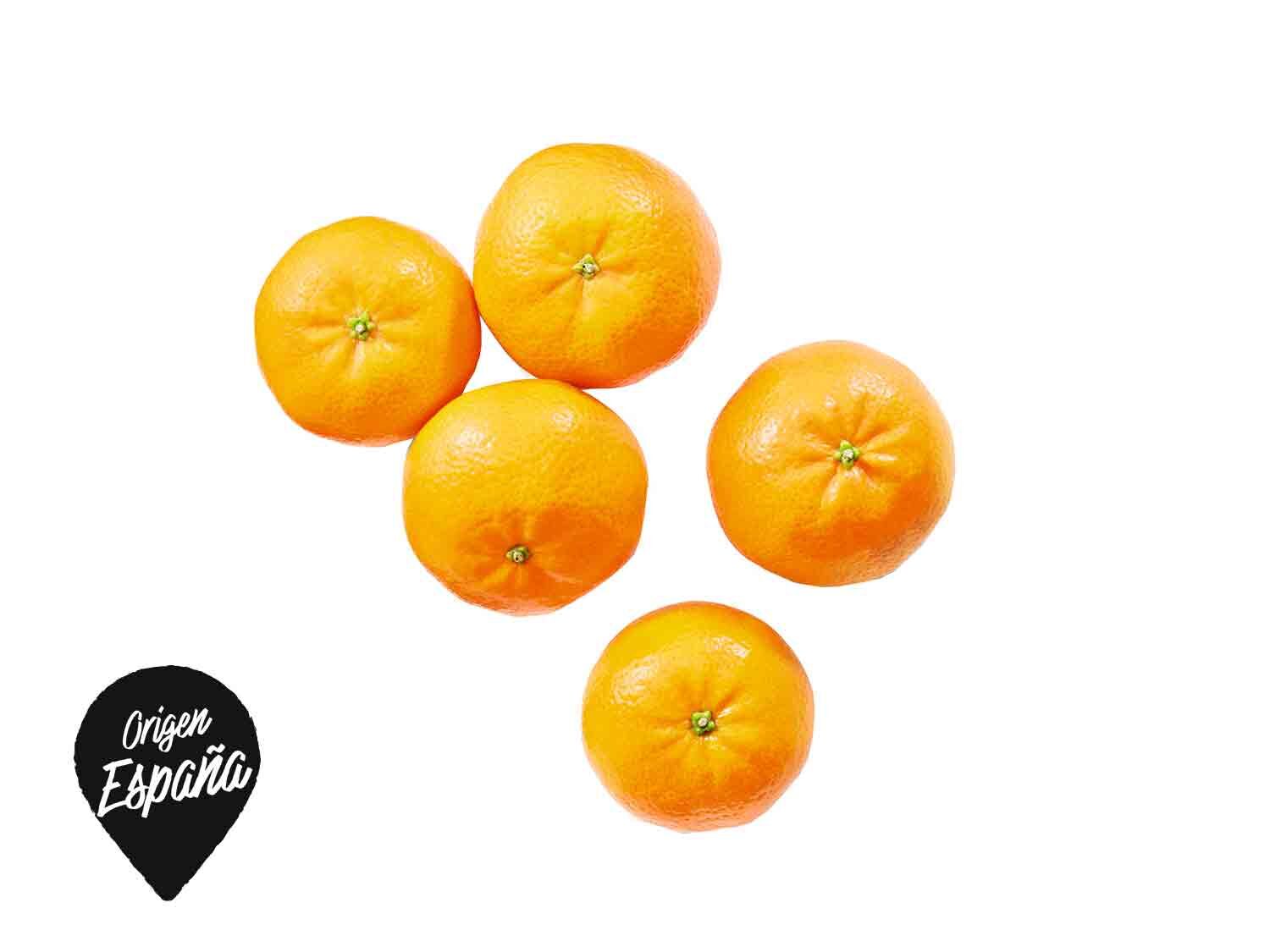 Florida Naranja Y Mandarina