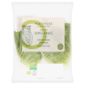 Organic Little Gem Lettuce