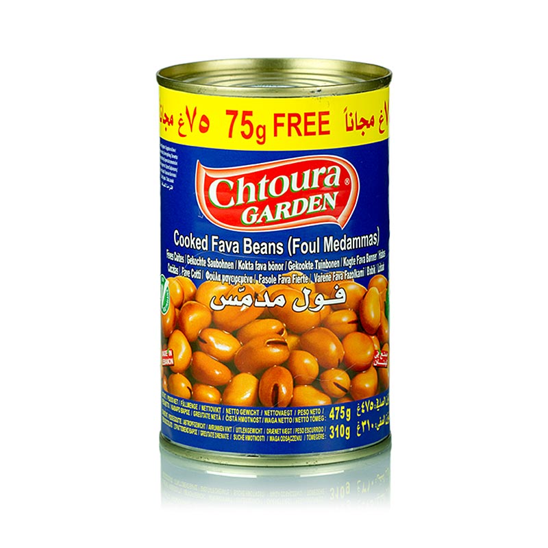 Fava Beans Cooked Foul Chtoura