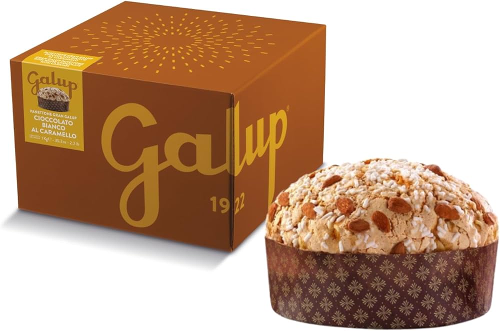 Galup Panettone