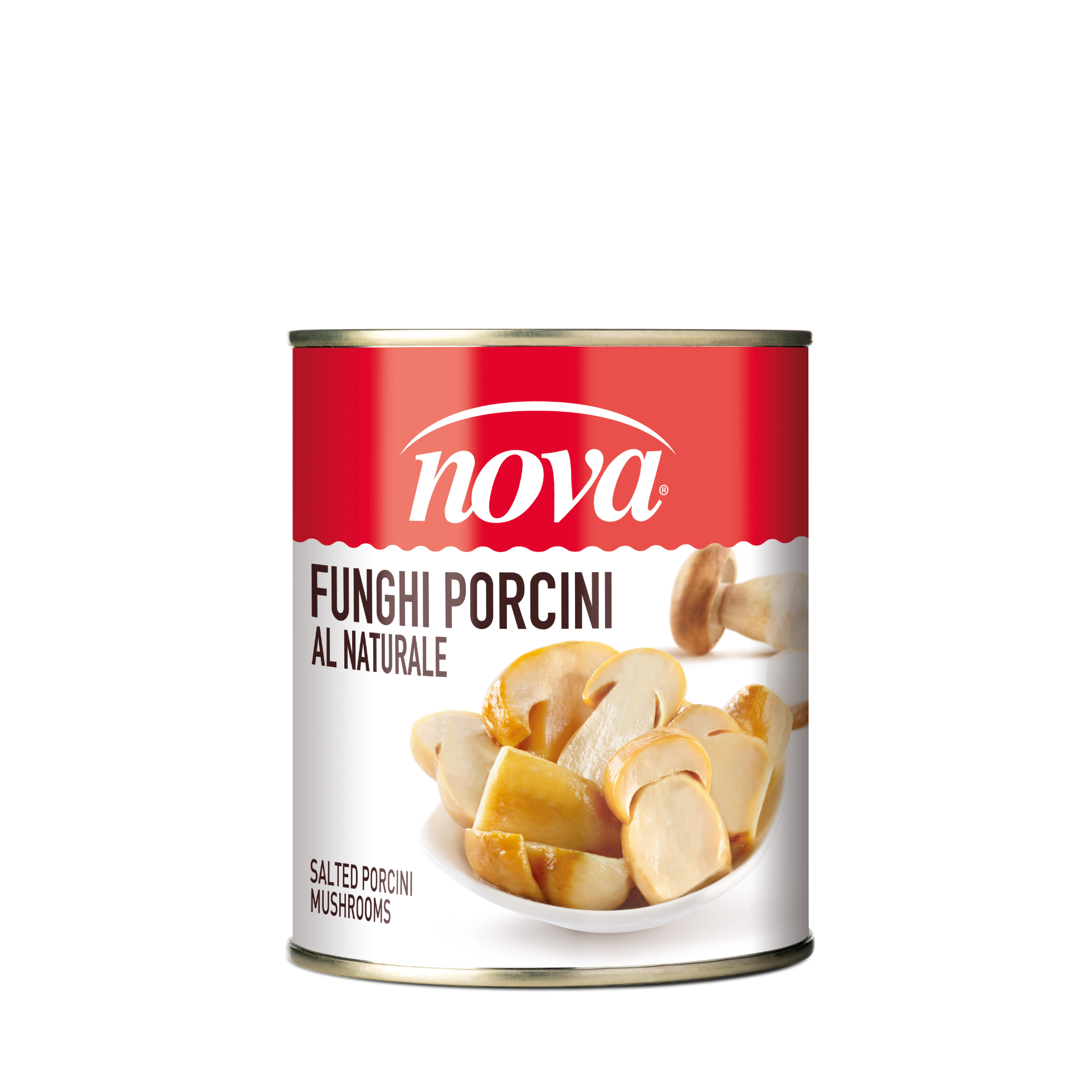 Funghi Porcini