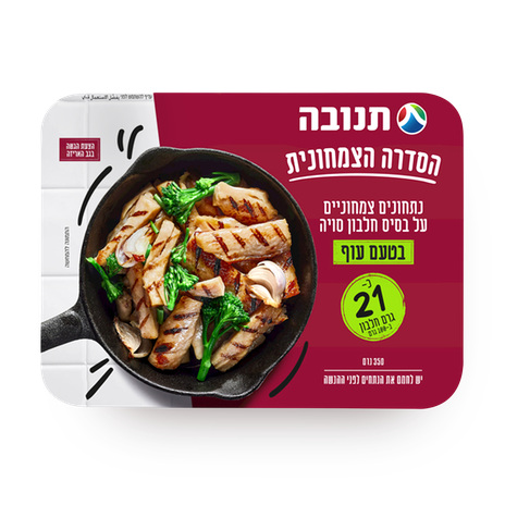 Chicken Flavored Soy Based Chunks