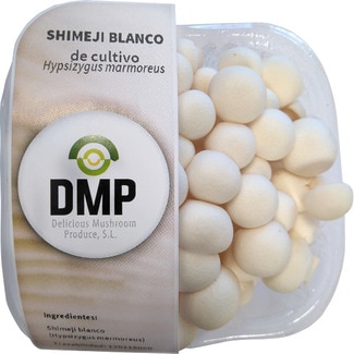 Shimeji Blanco De Cultivo - Hypsizygus Marmoreus