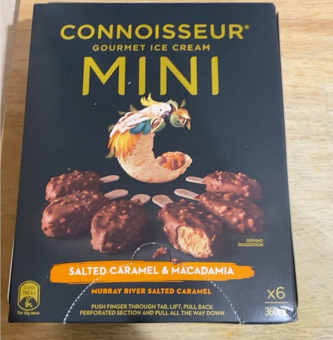 Connoisseur Mini Ice Cream Salted Caramel And Macadamia