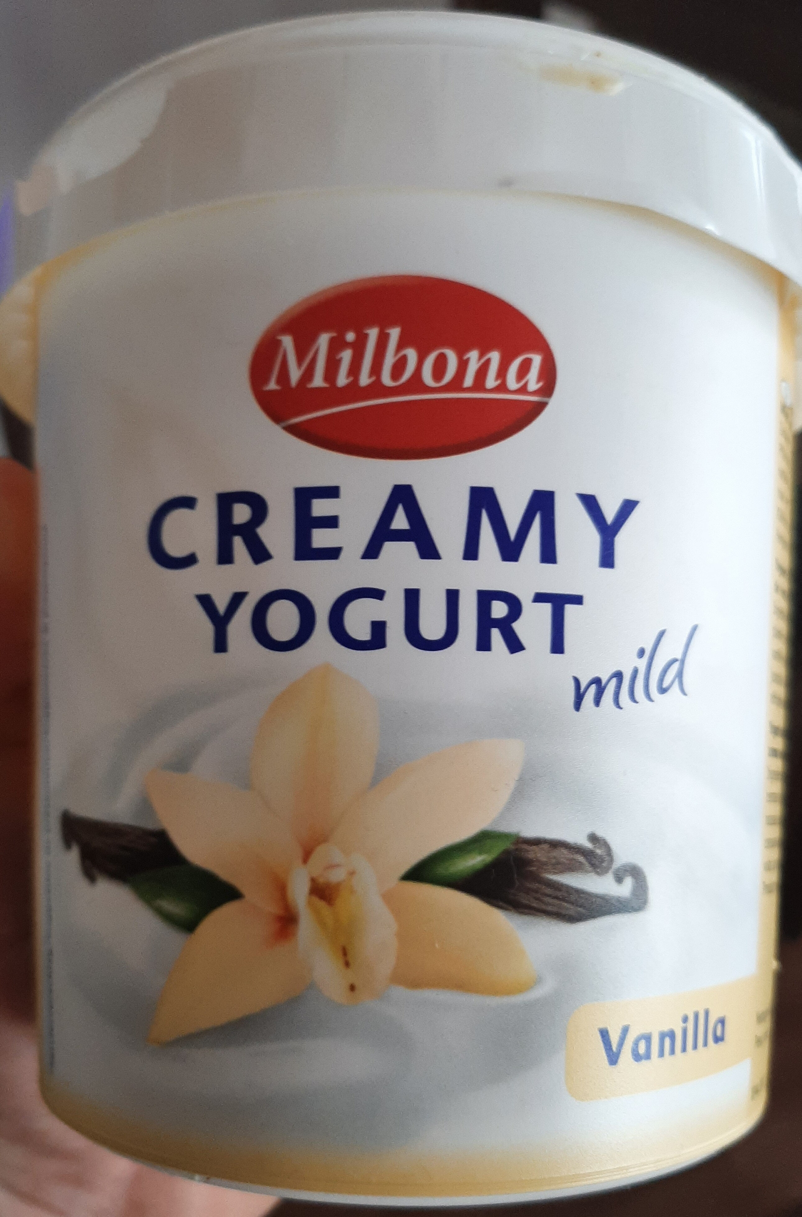Creamy Vanilla Yogurt