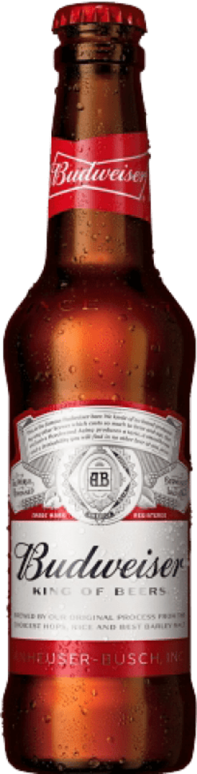 CERVEZA ALEMANA BOTELLA 33 CL CERVEZA ALEMANA BOTELLA 33 CL