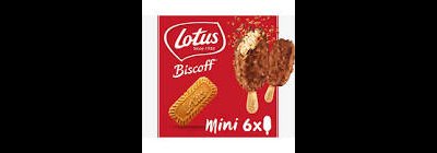 Mini Ice Cream Sticks Mini Ice Cream Sticks
