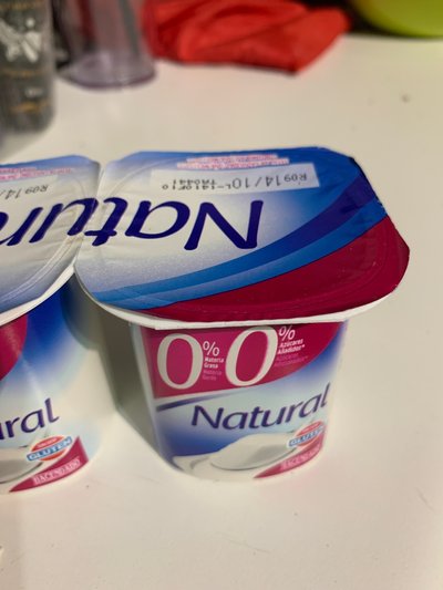 Yogur natural desnatado Yogur natural desnatado