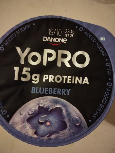Yopro arándanos Yopro arándanos