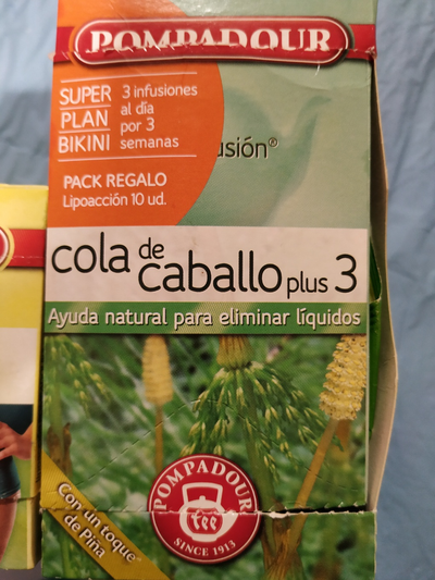 Cola de caballo Cola de caballo