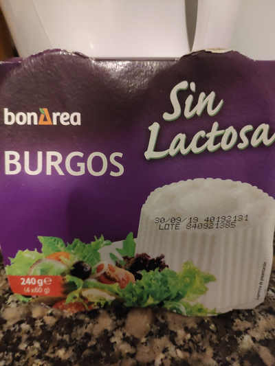Queso burgos Queso burgos