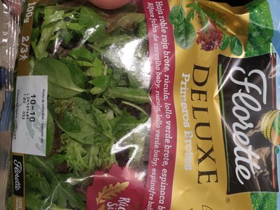Ensalada primeros brotes Ensalada primeros brotes