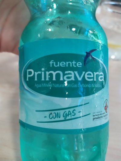 Agua mineral natural con gas Agua mineral natural con gas