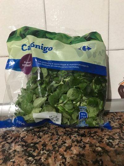 Canónigo Canónigo