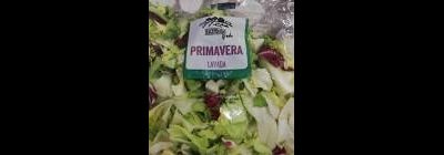 Lechuga Primavera Lavada Lechuga Primavera Lavada