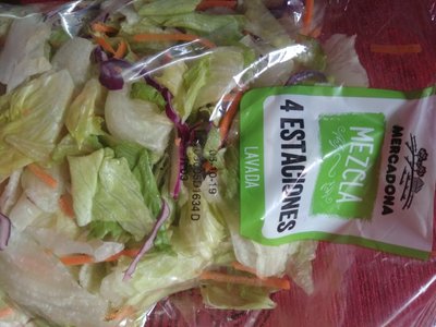 Lechuga 4 estaciones Lechuga 4 estaciones