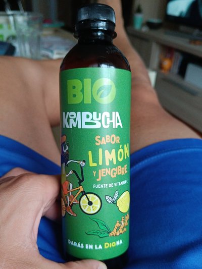 Kombucha Kombucha