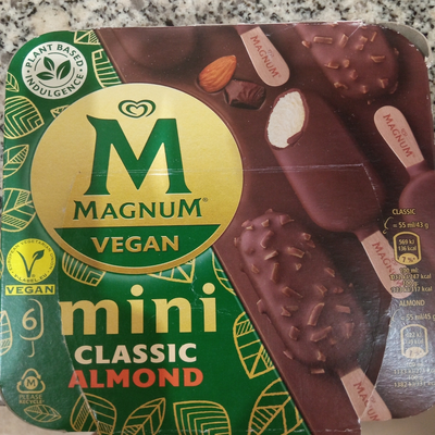 Helado mini classic vegano Helado mini classic vegano