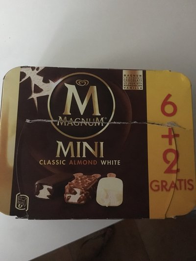 Surtido helados mini Surtido helados mini