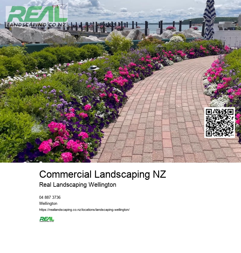 Wellington Landscape Architects