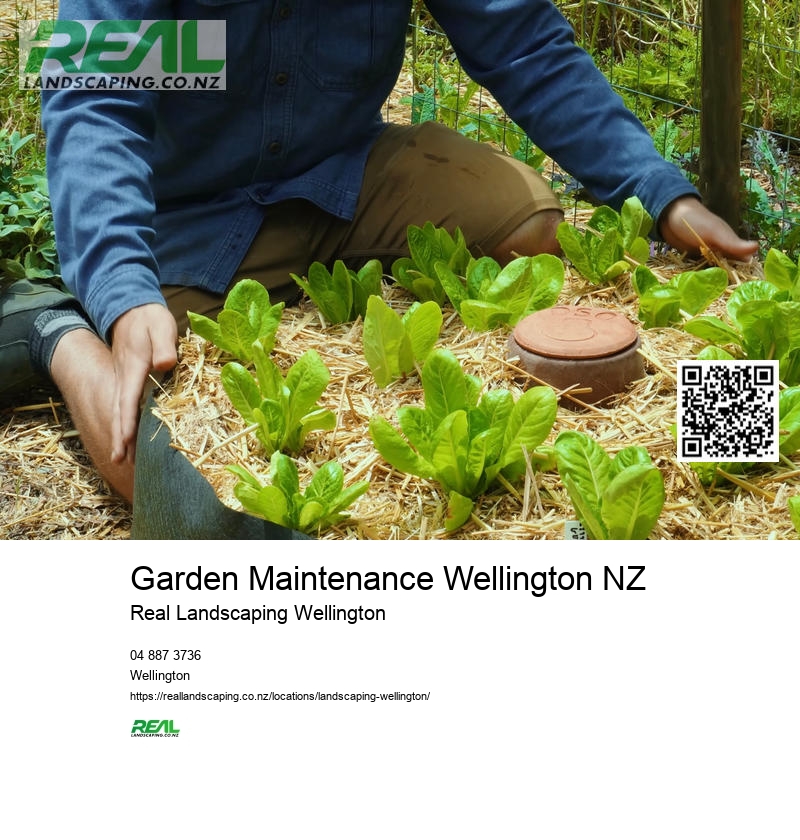 Wellington Garden Structure Design