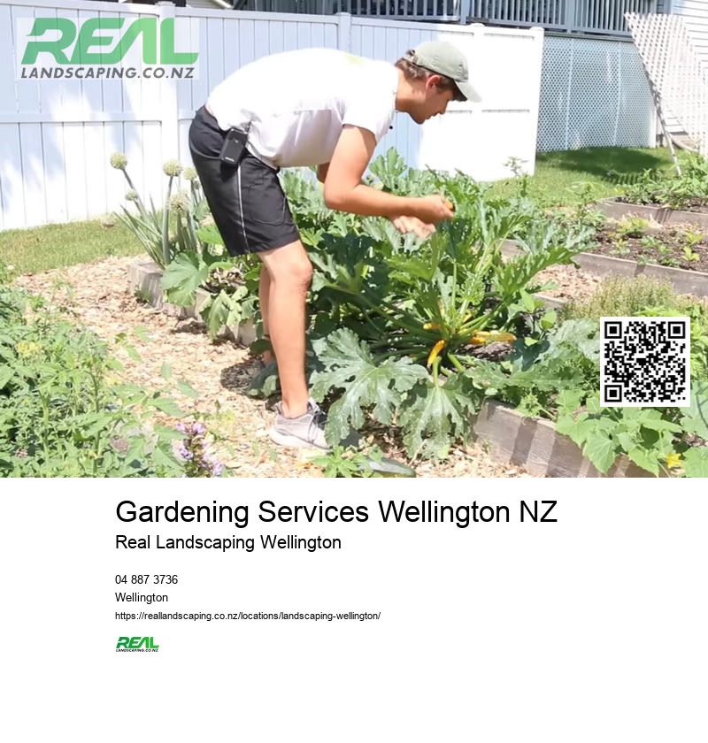 Garden Landscaping Wellington