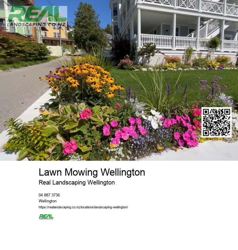 Landscape Gardener Wellington NZ