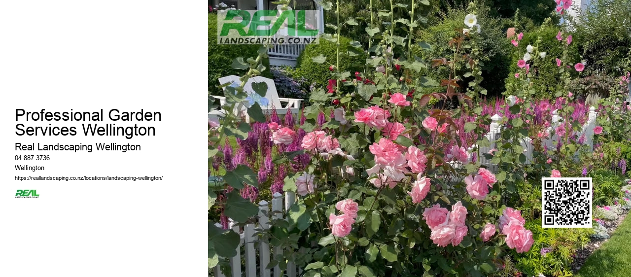 Drought-resistant Landscaping NZ