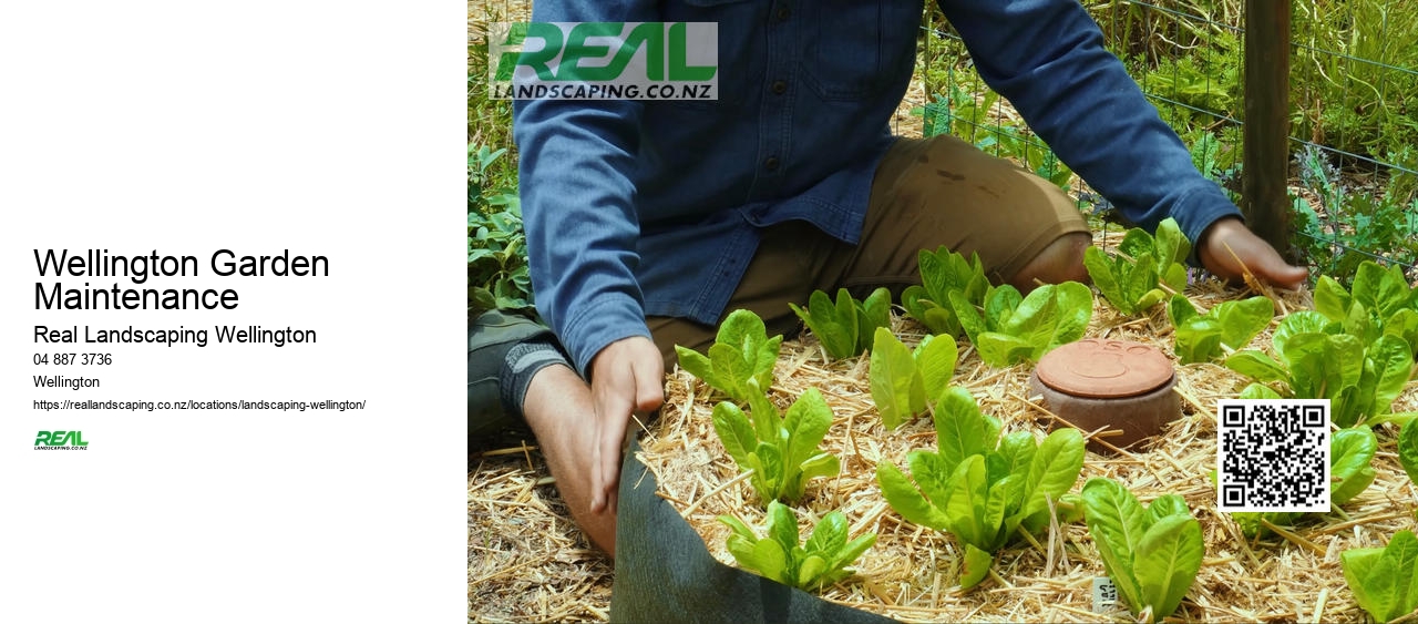 Wellington Garden Bulb Planting