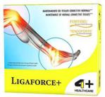 4+ NUTRITION Ligaforce+ 14x10,7