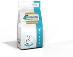 4T Veterinary Diet Dog Hypoallergenic insect 2kg