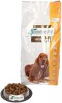 4T Veterinary Diet Dog Renal 2Kg