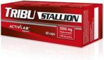 Activita Tribu Stallion 60 Kaps