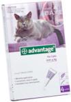 Advantix Advantage dla kota powyżej 4kg roztwór przeciwko pchłom 4 pipety