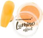 ALLEPAZNOKCIE PYŁEK DO PAZNOKCI ŚWIECĄCY W CIEMNOŚCI LUMINO EFFECT NR 5