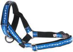 amiplay 2CM COCKER SPANIEL NX3 HALTER KOŚCI NA NIEBIESKIM TLE (1)