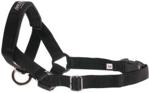 AmiPlay AMI 2CM COCKER SPANIEL N3 HALTER CzARNY (1)