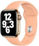 Apple Pasek Sportowy do Apple Watch 40mm Melonowy (MJK33ZMA)