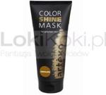 Artego COLOR SHINE MASK maska odświeżająca kolor CzEKOLADA 200ml