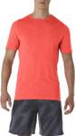 Asics Seamless Short Sleeve Top Czerwona