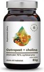 Aura Herbals Ostropest+ Cholina 60 Tabl