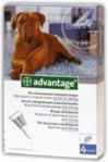 Bayer Advantage Krople Dla Psów Powyżej 25Kg 4X4Ml